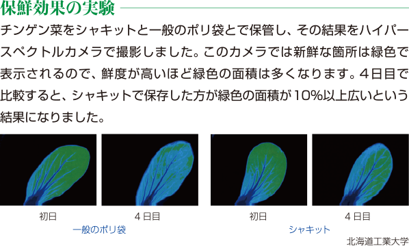 保鮮効果の実験チンゲン菜をシャキットと一般のポリ袋とで保管し、その結果をハイパースペクトルカメラで撮影しました。このカメラでは新鮮な箇所は緑色で表示されるので、鮮度が高いほど緑色の面積は多くなります。4日目で比較すると、シャキットで保存した方が緑色の面積が10％以上広いという結果になりました。北海道工業大学